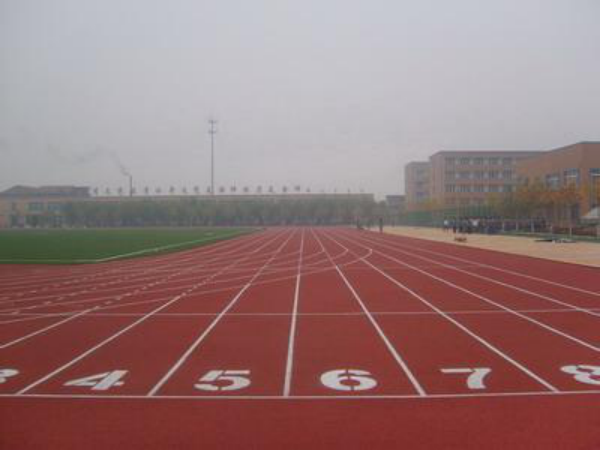 1557411102498338.png